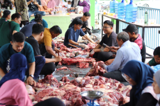 Sapi Datang, Warga Senang, MAN 1 Pekanbaru Salurkan 290 Kg Daging Qurban